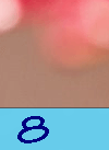 Daanav Application Pinned to Windows 8 Taskbar but not Running Daanav Application Pinned to Windows 8 Taskbar but not Running